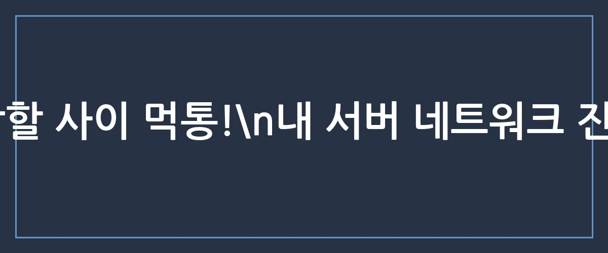 서버 네트워크 장애, 내 사이트만 몰랐던 이유와 해결법